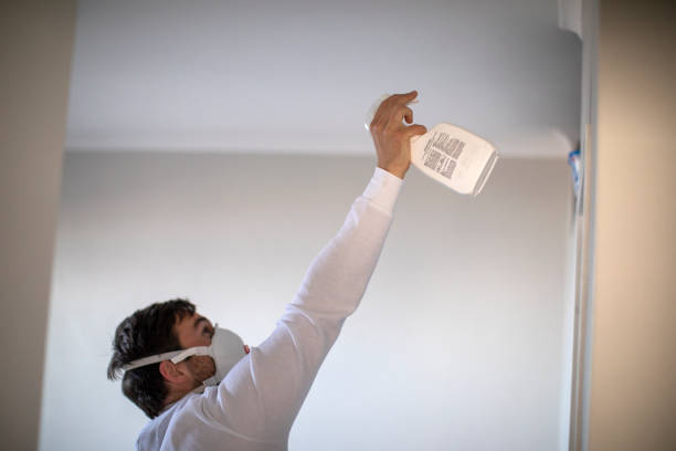 Best Crawl Space Mold Removal  in Fulton, TX