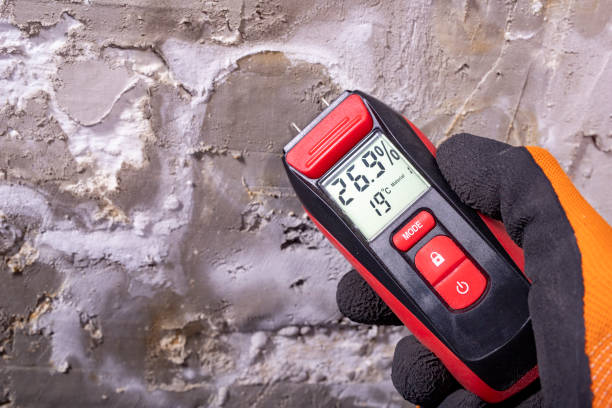 Best Mold Testing and Removal  in Fulton, TX