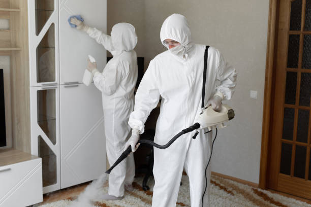Trusted Fulton, TX Mold Removal Experts