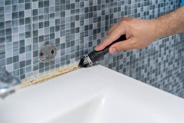 Best Attic Mold Removal  in Fulton, TX