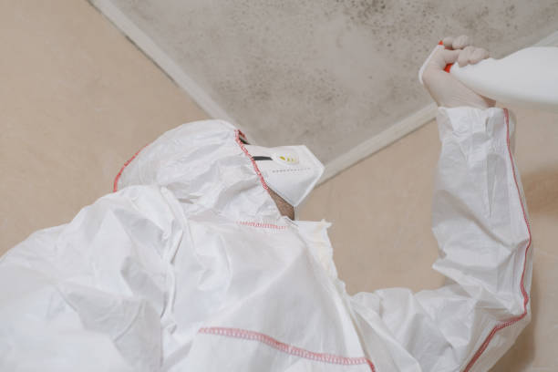 Best Residential Mold Removal  in Fulton, TX