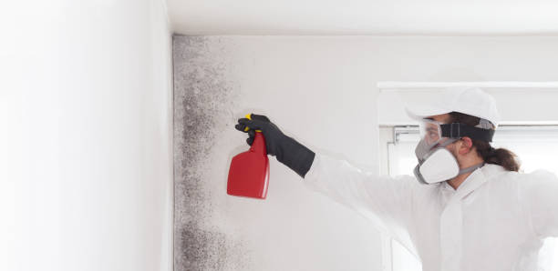 Best Home Mold Removal  in Fulton, TX